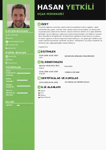 Havacılık Ve Uzay Uçak Mühendisi Cv Örnekleri cv indir